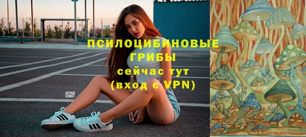 прущая мука Заводоуковск