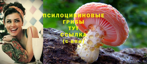не бодяженный Тында