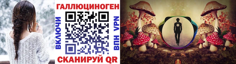даркнет клад  KRAKEN онион  Волгодонск  Псилоцибиновые грибы Psilocybe 